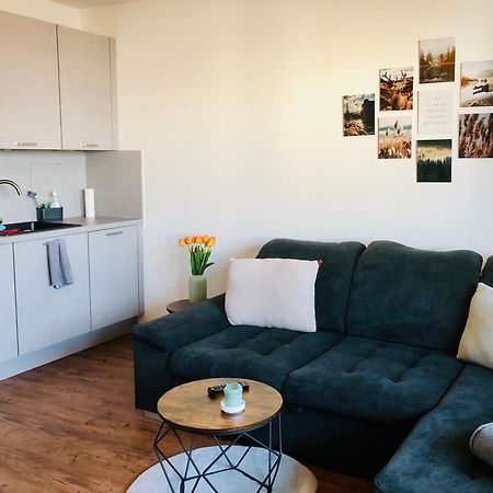 Comfortable City Appartement Dresden Exterior foto