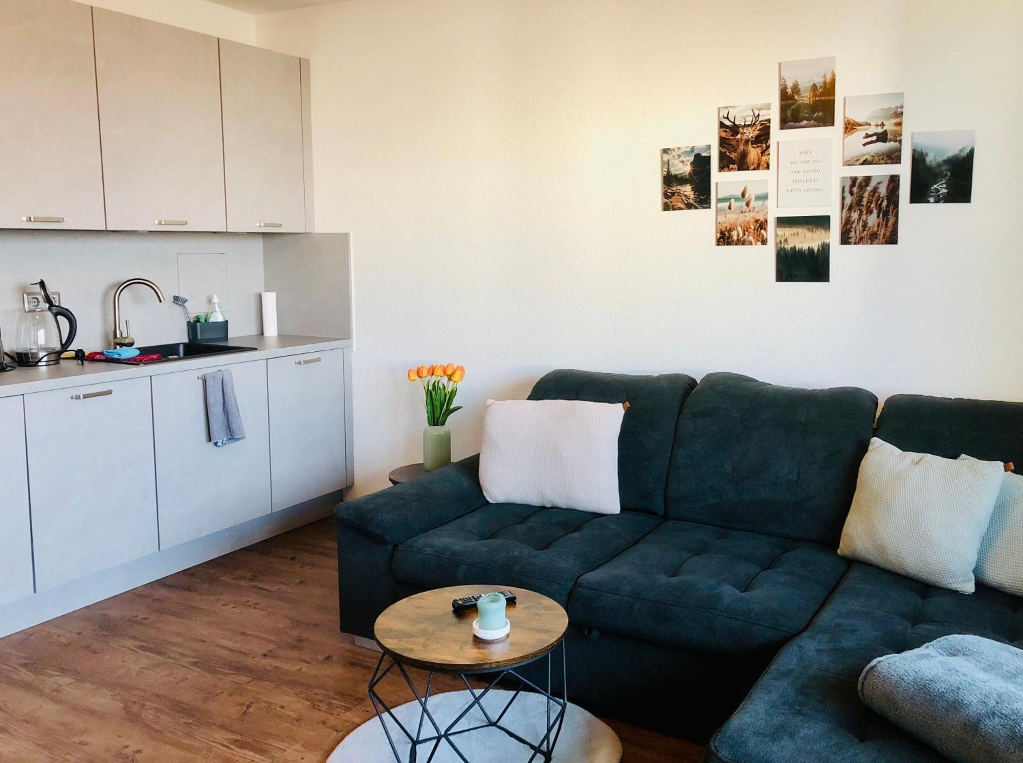 Comfortable City Appartement Dresden Exterior foto