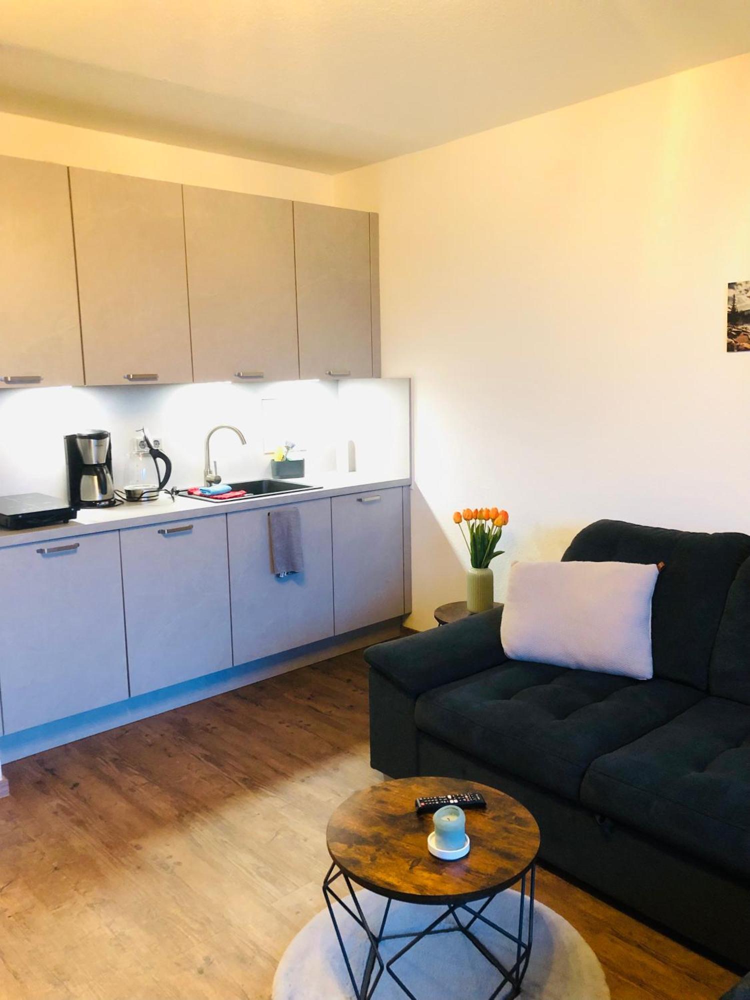 Comfortable City Appartement Dresden Exterior foto